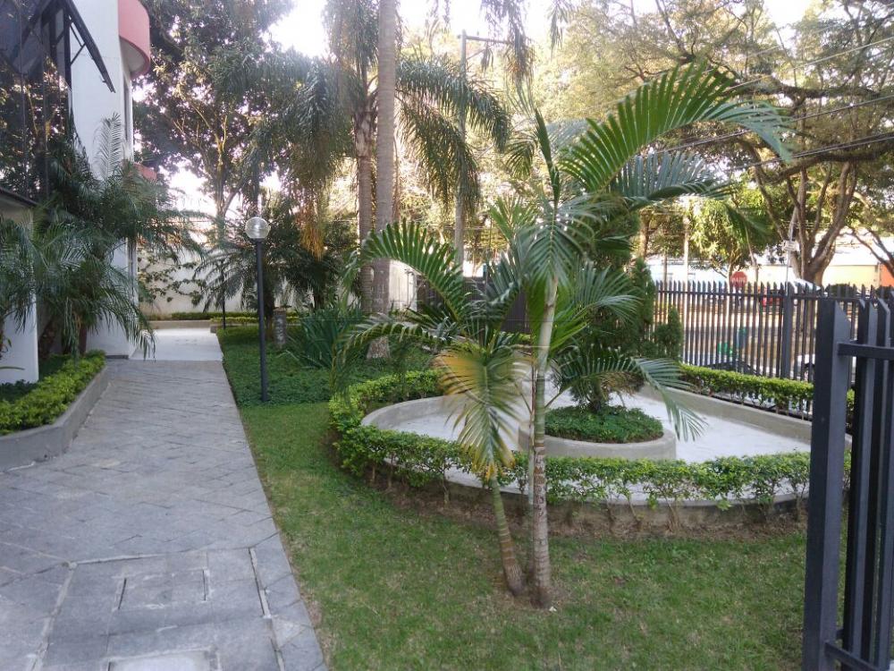 Entrada
