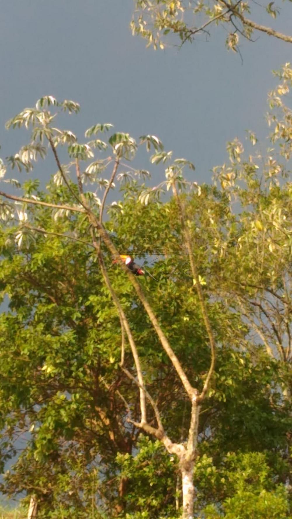Foto 13 de Terreno Condomínio em Alto da Ponte, São José dos Campos - imagem 13