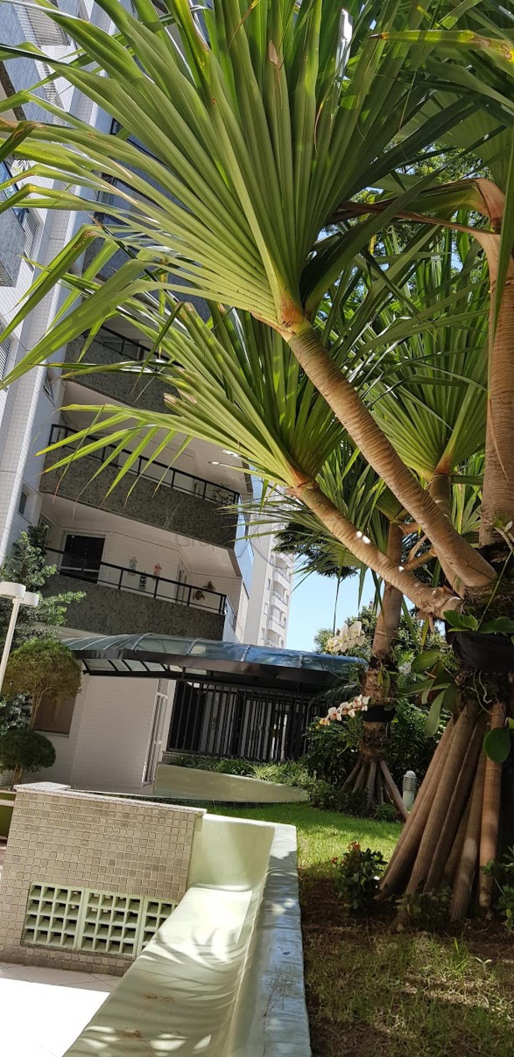 Foto 23 de Apartamento Padrão em Vila Adyana, São José dos Campos - imagem 23