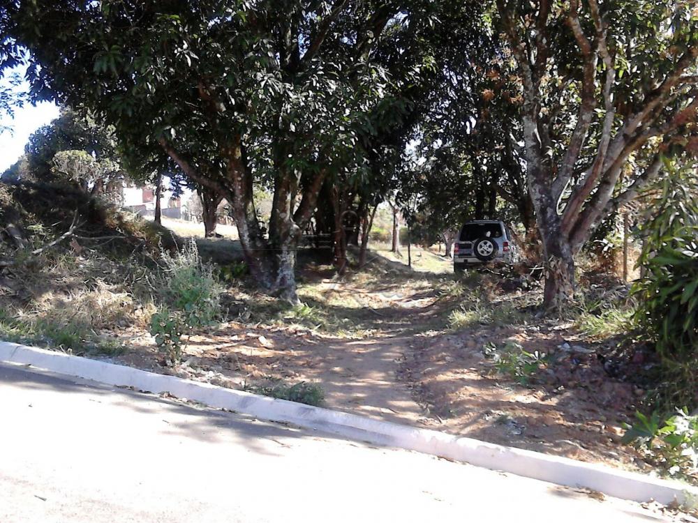 Foto 1 de Terreno Padrão em Jardim Santa Hermínia, São José dos Campos - imagem 1