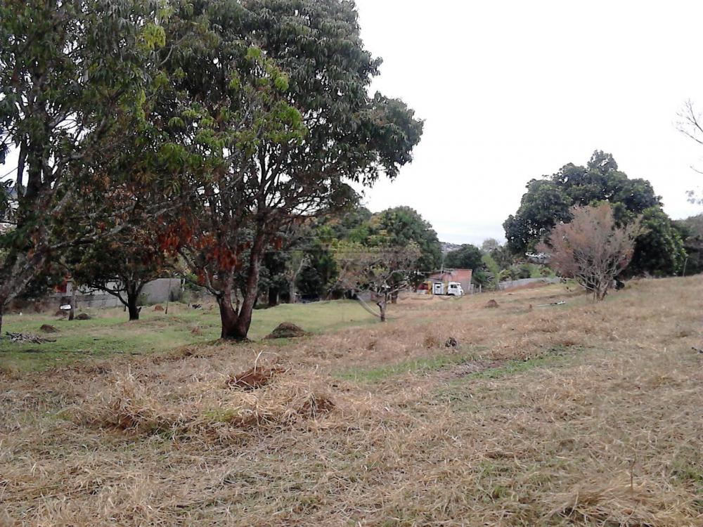 Foto 3 de Terreno Padrão em Jardim Santa Hermínia, São José dos Campos - imagem 3