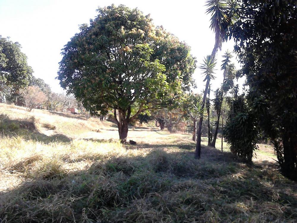 Foto 2 de Terreno Padrão em Jardim Santa Hermínia, São José dos Campos - imagem 2