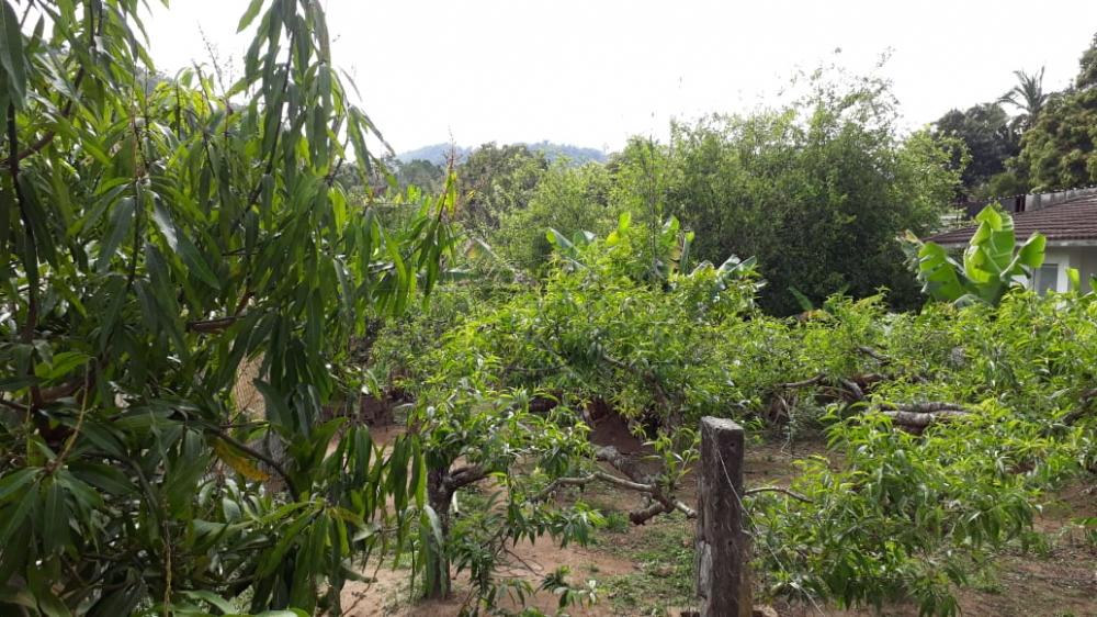 Foto 5 de Rural Chácara em Buquirinha, São José dos Campos - imagem 5