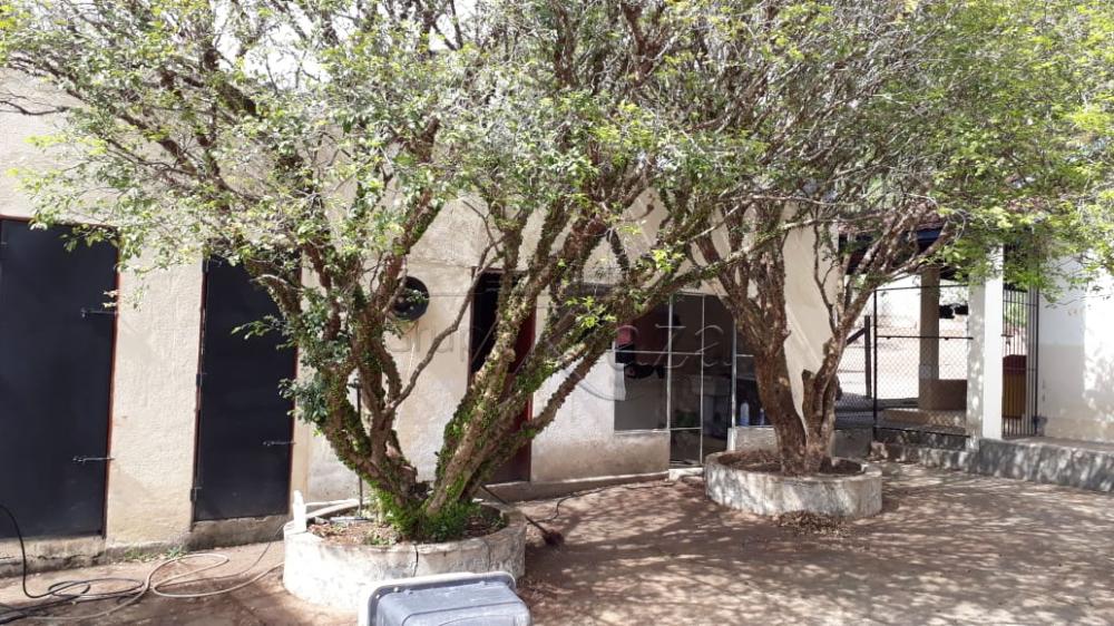 Foto 11 de Rural Chácara em Buquirinha, São José dos Campos - imagem 11