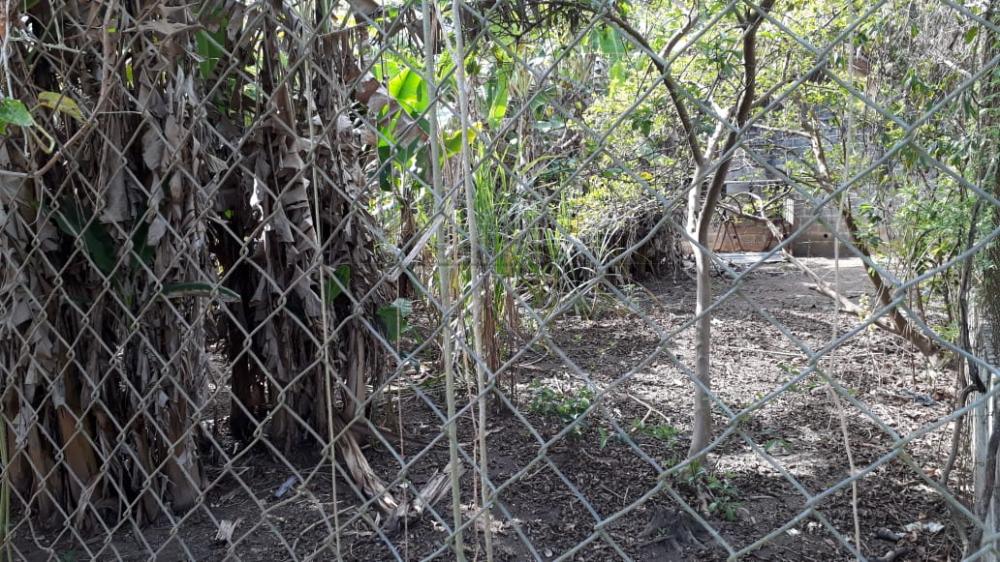 Foto 13 de Rural Chácara em Buquirinha, São José dos Campos - imagem 13
