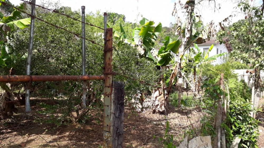 Foto 14 de Rural Chácara em Buquirinha, São José dos Campos - imagem 14