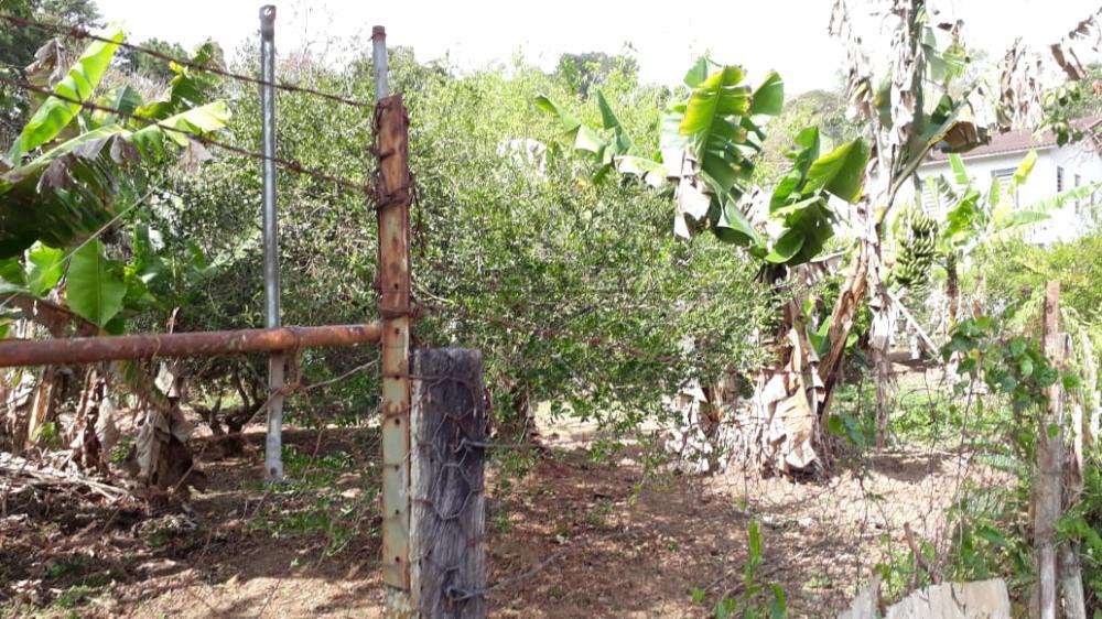 Foto 15 de Rural Chácara em Buquirinha, São José dos Campos - imagem 15