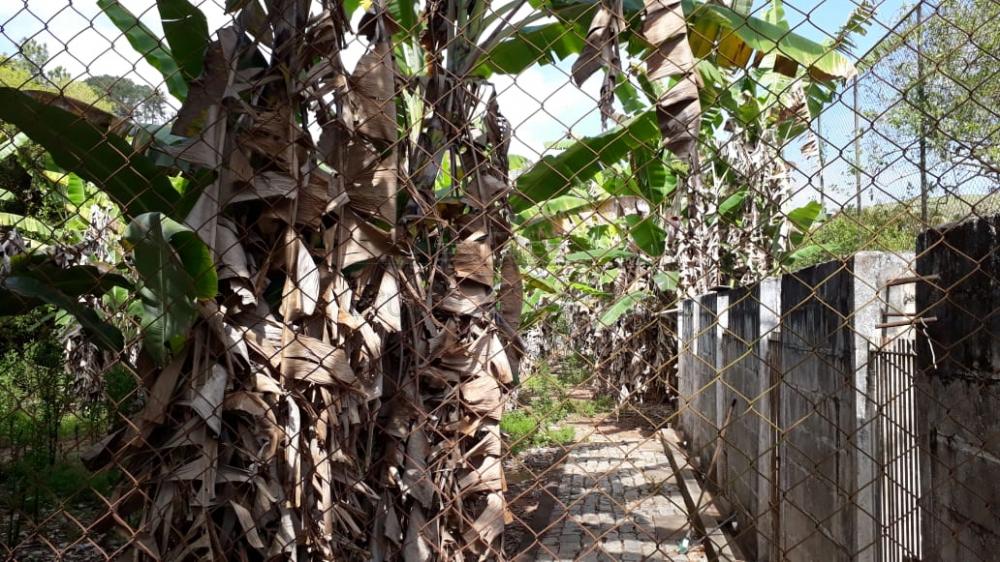 Foto 17 de Rural Chácara em Buquirinha, São José dos Campos - imagem 17