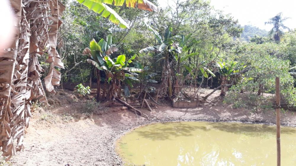 Foto 18 de Rural Chácara em Buquirinha, São José dos Campos - imagem 18