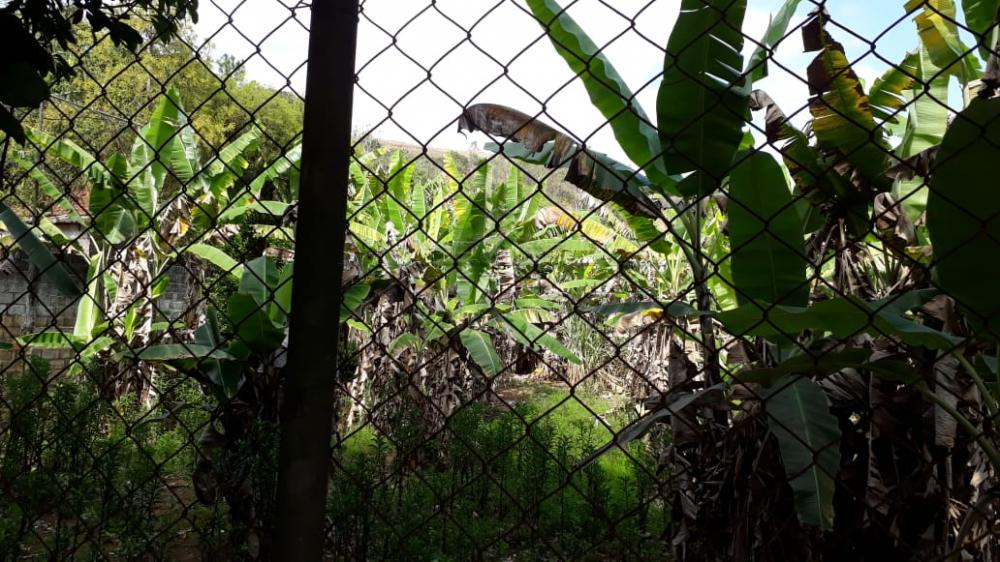 Foto 20 de Rural Chácara em Buquirinha, São José dos Campos - imagem 20
