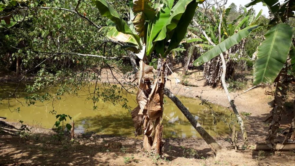 Foto 24 de Rural Chácara em Buquirinha, São José dos Campos - imagem 24
