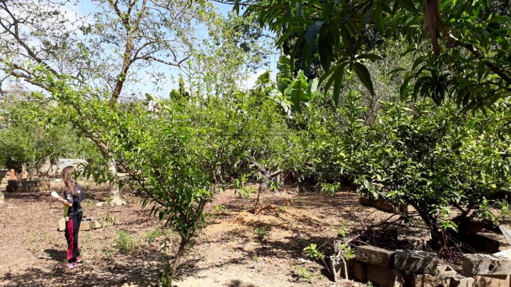 Foto 25 de Rural Chácara em Buquirinha, São José dos Campos - imagem 25