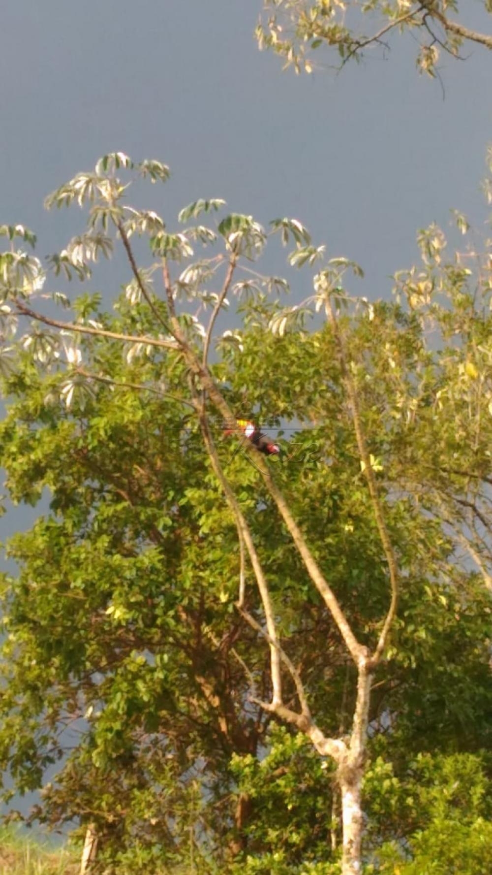 Foto 15 de Terreno Condomínio em Alto da Ponte, São José dos Campos - imagem 15