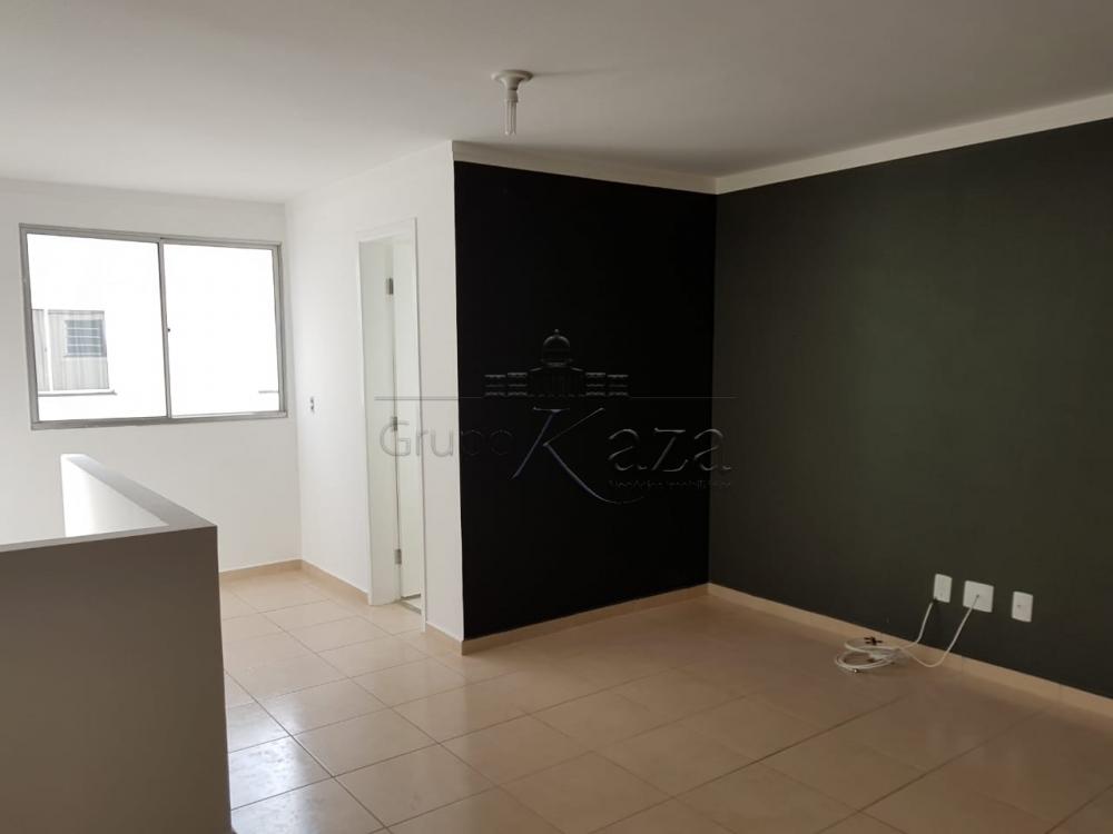 Foto 1 de Apartamento Cobertura Duplex em Jardim América, São José dos Campos - imagem 1