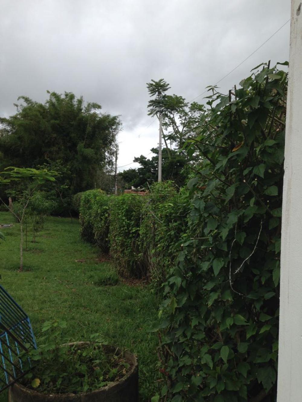 Foto 9 de Rural Chácara em Jardim das Cerejeiras, São José dos Campos - imagem 9