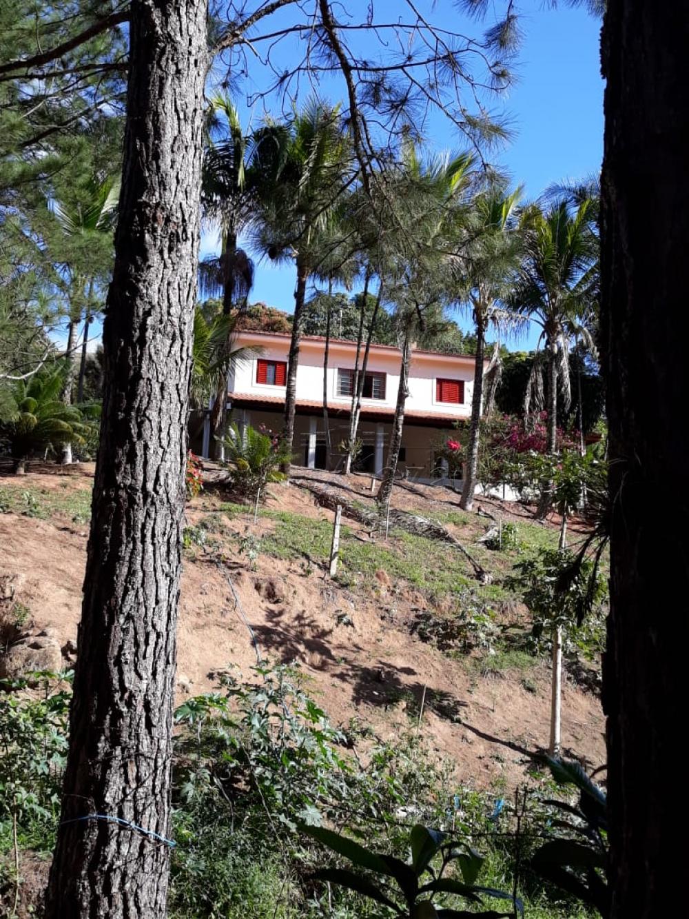 Foto 10 de Rural Chácara em Bairro dos Freitas, São José dos Campos - imagem 10