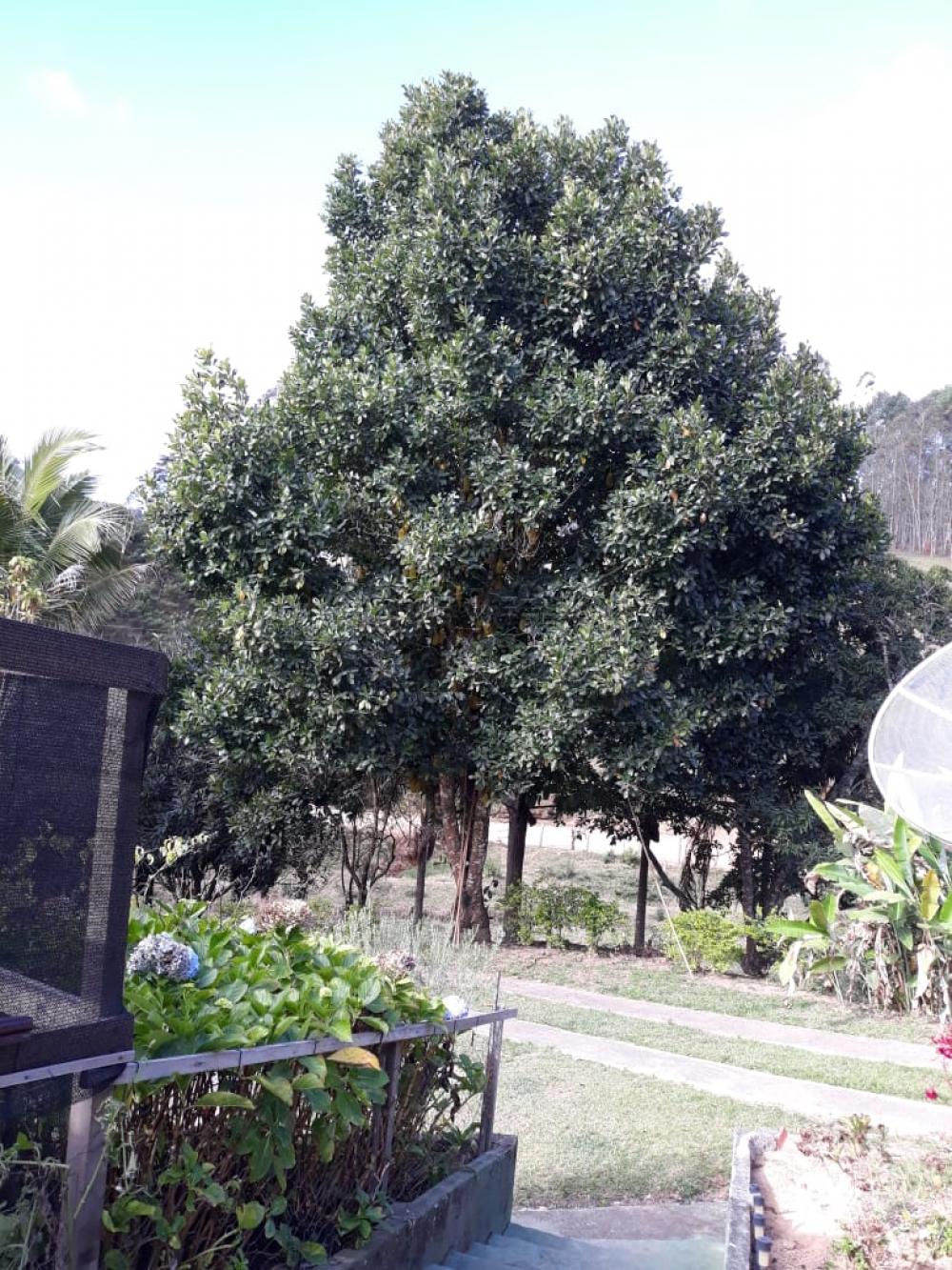 Foto 15 de Rural Chácara em Bairro dos Freitas, São José dos Campos - imagem 15
