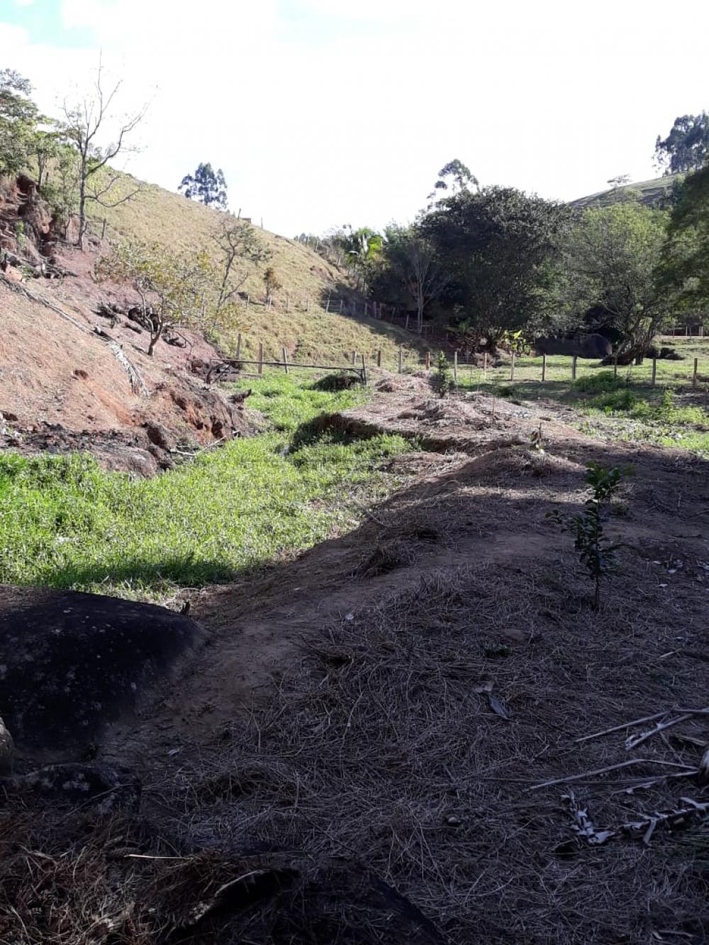 Foto 19 de Rural Chácara em Bairro dos Freitas, São José dos Campos - imagem 19