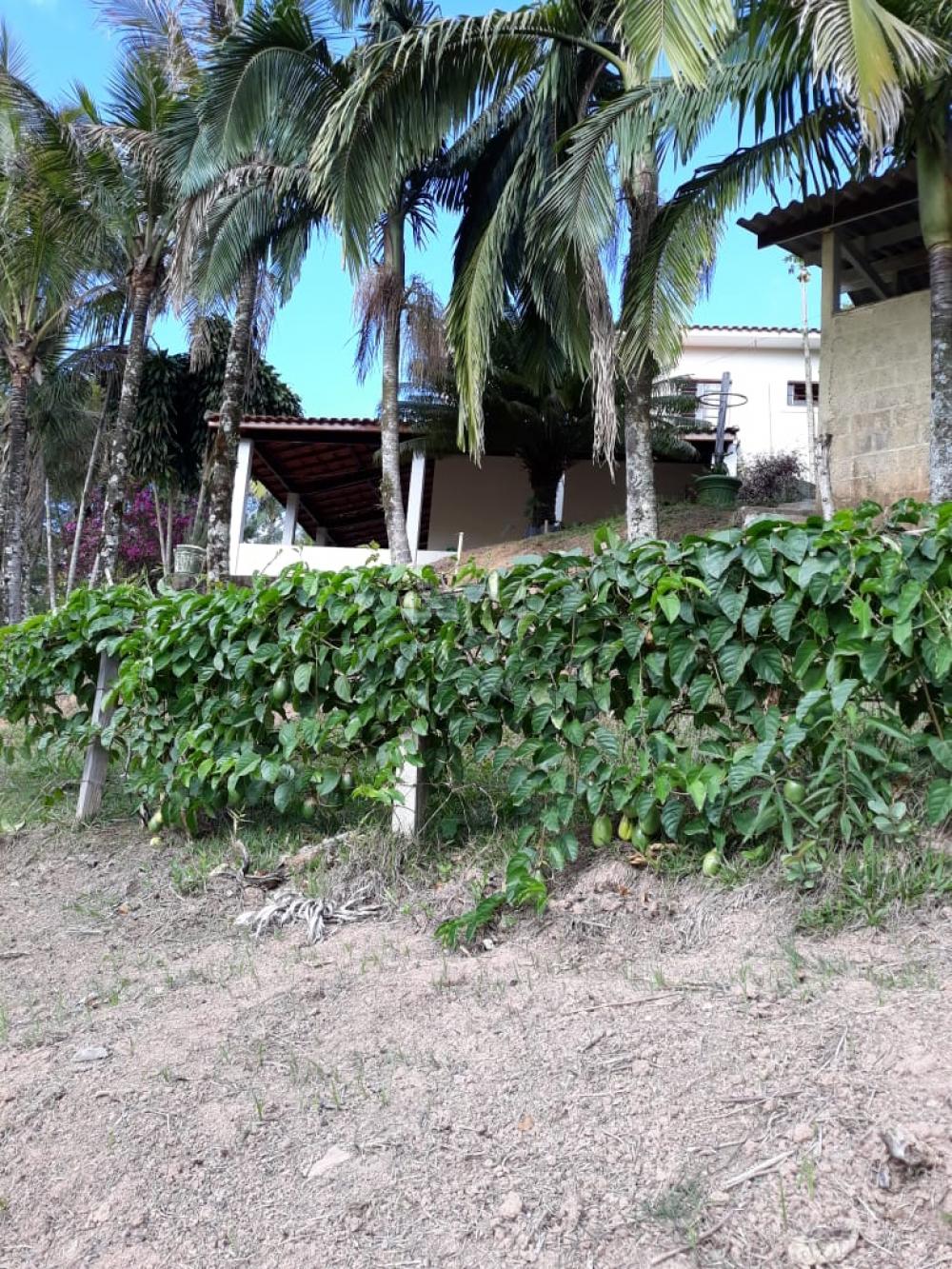 Foto 12 de Rural Chácara em Bairro dos Freitas, São José dos Campos - imagem 12
