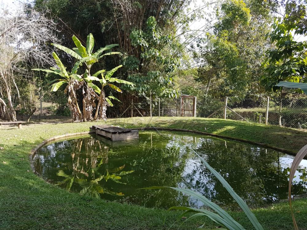 Foto 10 de Rural Chácara em Cajuru, São José dos Campos - imagem 10