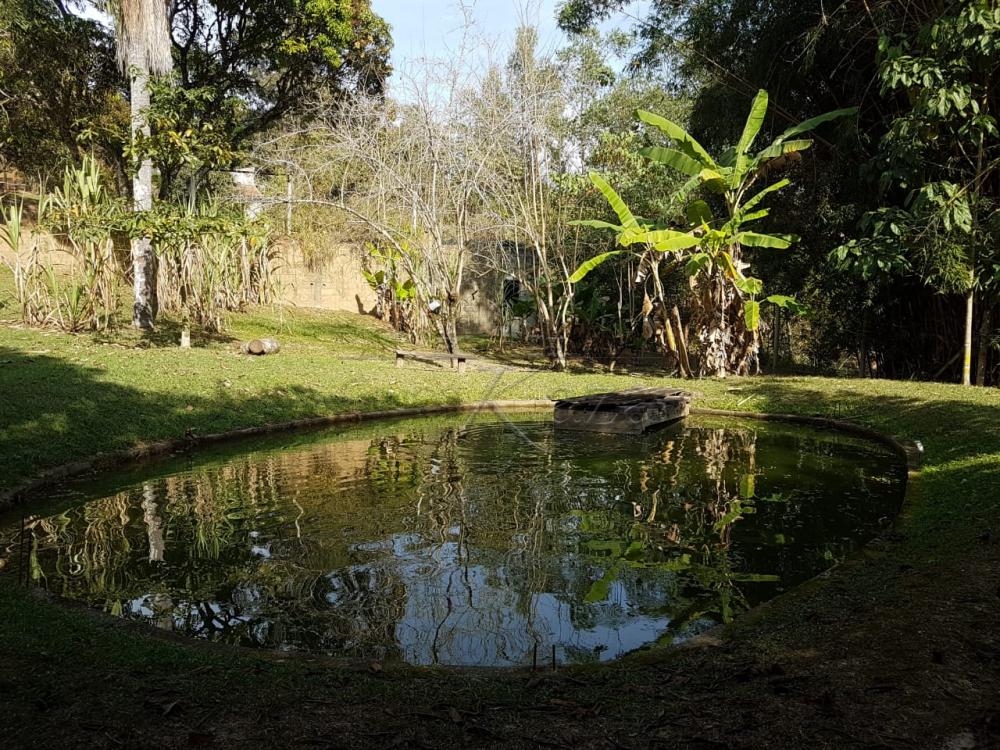 Foto 11 de Rural Chácara em Cajuru, São José dos Campos - imagem 11