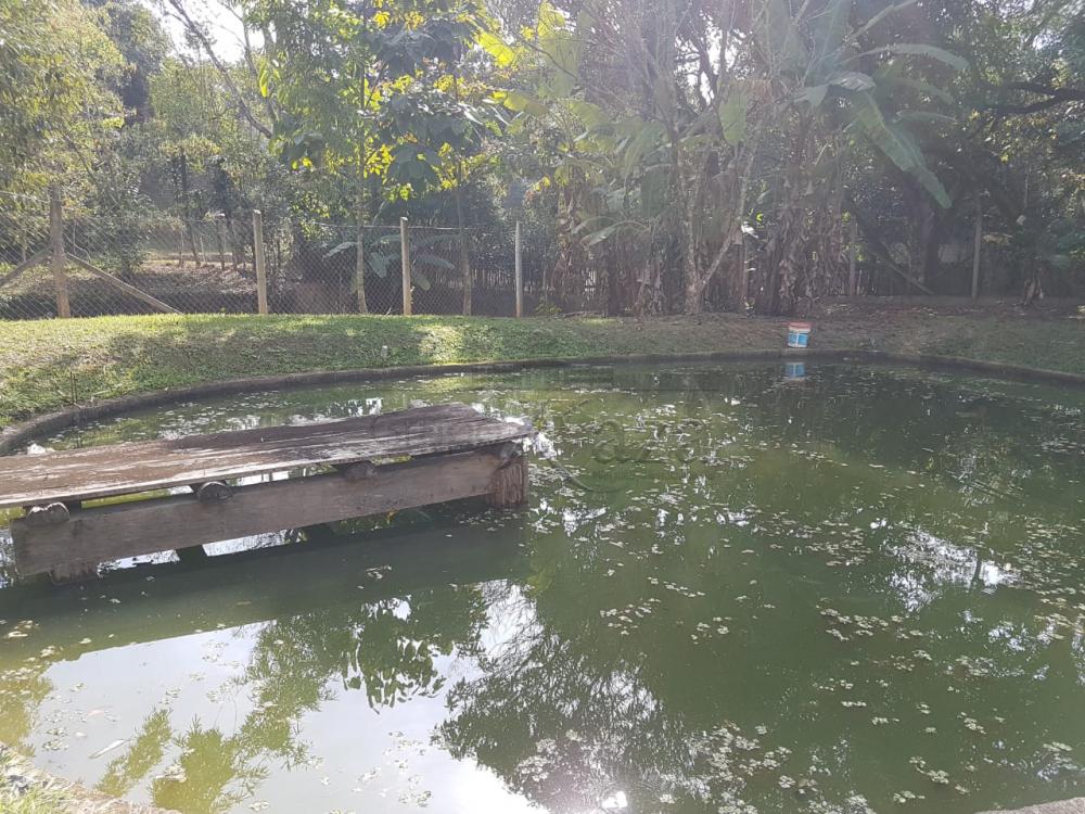 Foto 12 de Rural Chácara em Cajuru, São José dos Campos - imagem 12