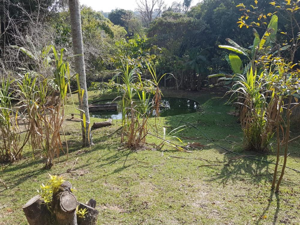 Foto 13 de Rural Chácara em Cajuru, São José dos Campos - imagem 13