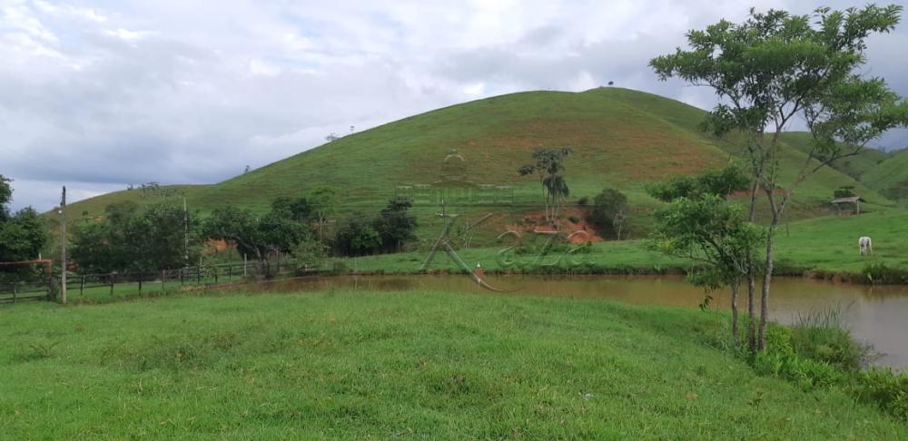 Foto 4 de Rural Fazenda em Jardim Alvorada, Jacareí - imagem 4