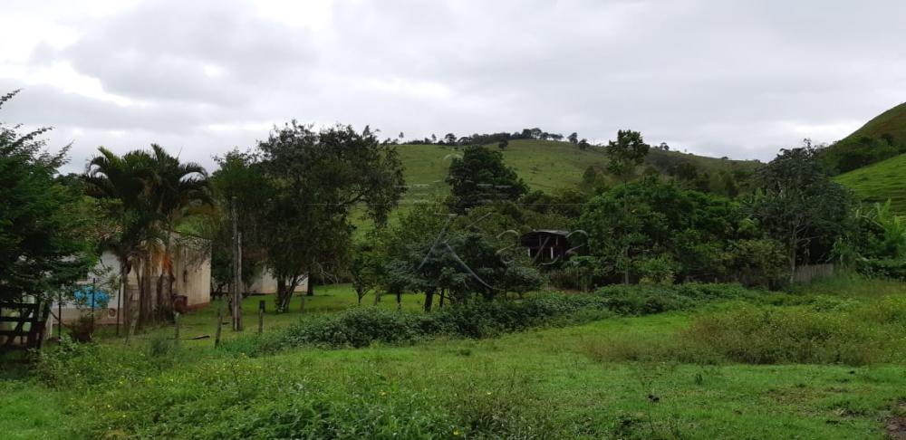 Foto 7 de Rural Fazenda em Jardim Alvorada, Jacareí - imagem 7
