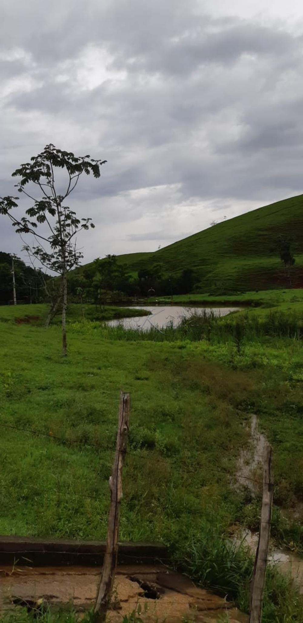 Foto 9 de Rural Fazenda em Jardim Alvorada, Jacareí - imagem 9