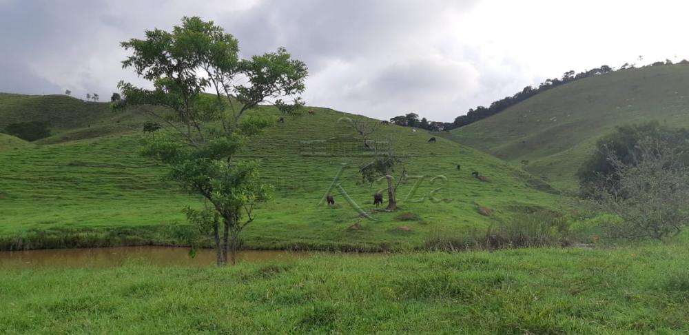 Foto 10 de Rural Fazenda em Jardim Alvorada, Jacareí - imagem 10