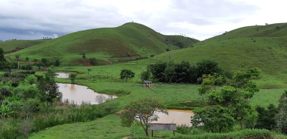 Foto 19 de Rural Fazenda em Jardim Alvorada, Jacareí - imagem 19