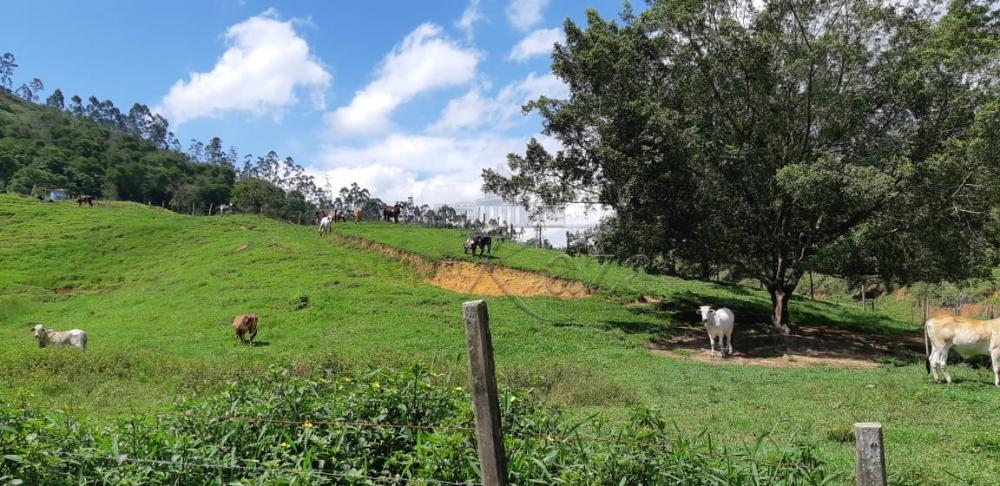 Foto 22 de Rural Fazenda em Jardim Alvorada, Jacareí - imagem 22