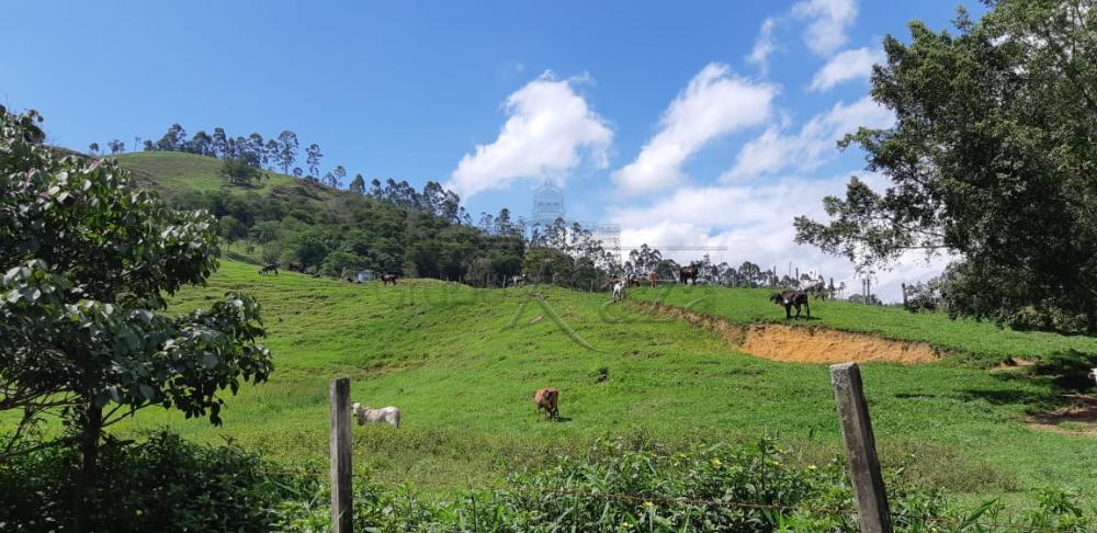 Foto 23 de Rural Fazenda em Jardim Alvorada, Jacareí - imagem 23