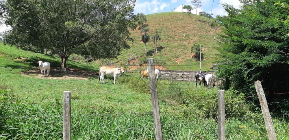 Foto 24 de Rural Fazenda em Jardim Alvorada, Jacareí - imagem 24