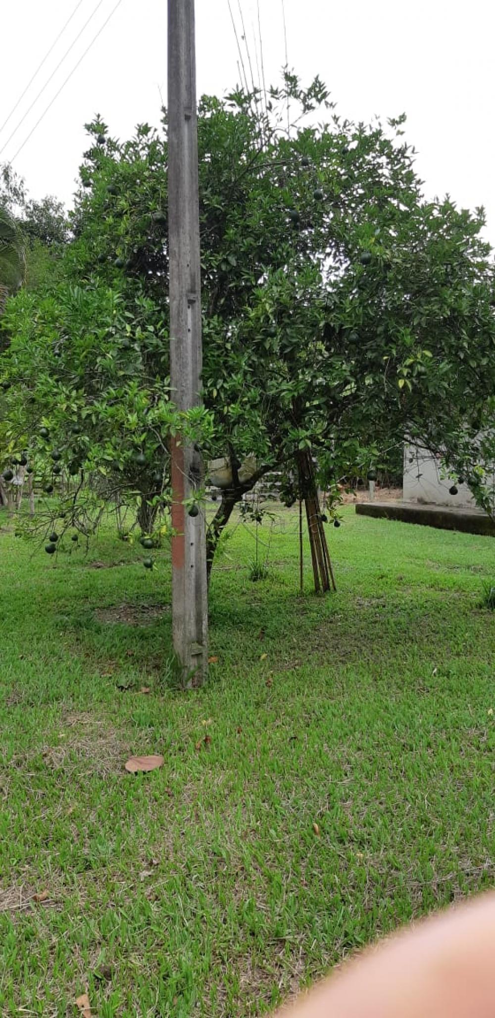 Foto 27 de Rural Fazenda em Jardim Alvorada, Jacareí - imagem 27