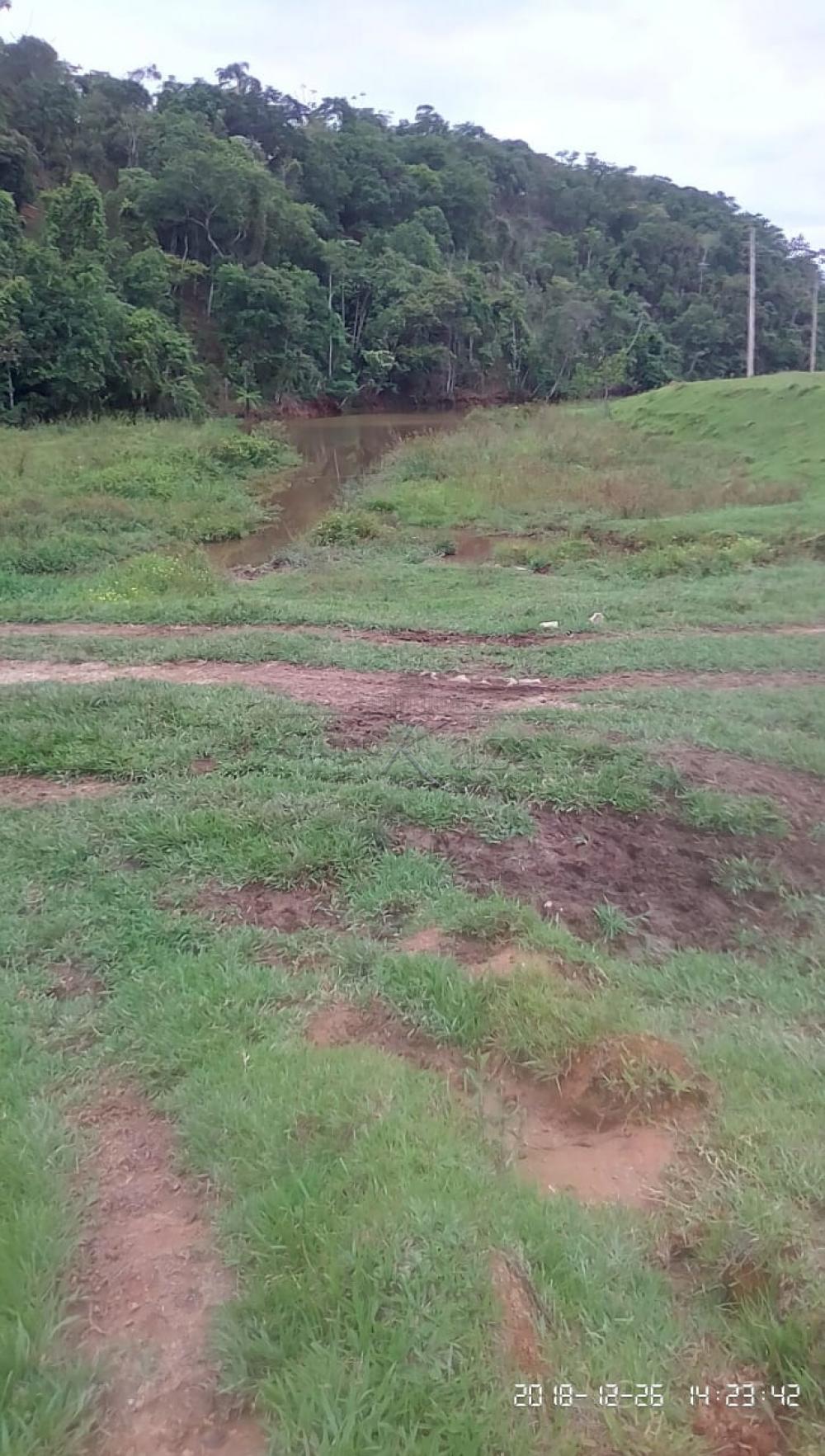 Foto 29 de Rural Fazenda em Jardim Alvorada, Jacareí - imagem 29
