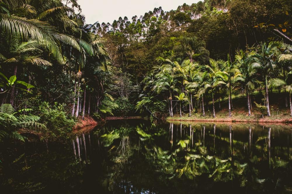 represa 2