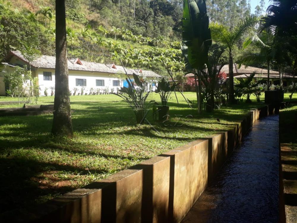 Foto 9 de Rural Sítio em Bairro do Turvo de Baixo, São José dos Campos - imagem 9