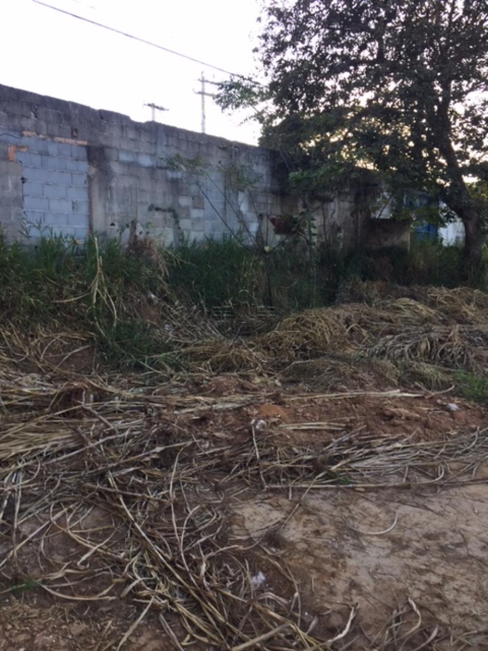Foto 2 de Área Comercial em Chácaras Reunidas, São José dos Campos - imagem 2