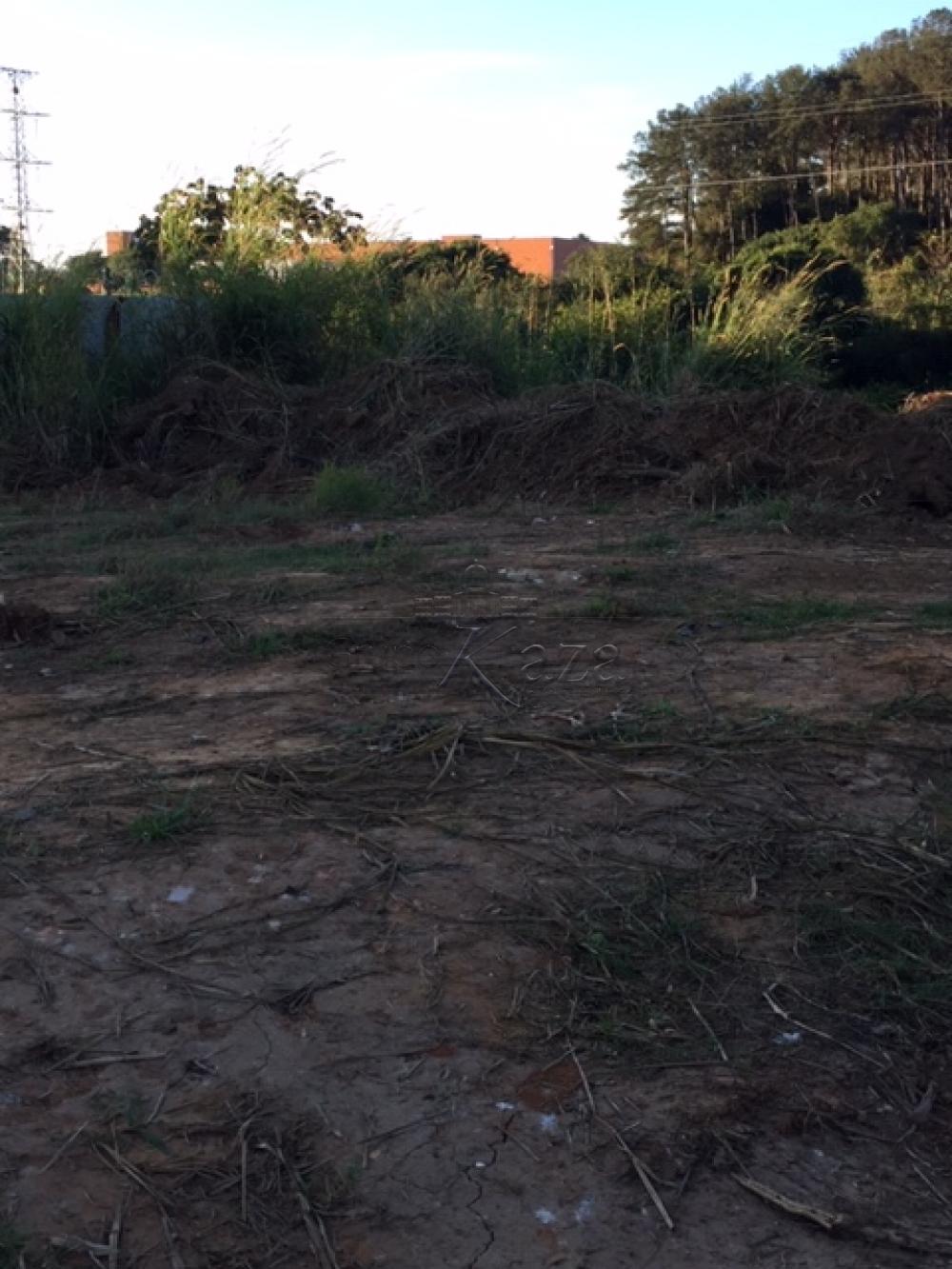 Foto 9 de Área Comercial em Chácaras Reunidas, São José dos Campos - imagem 9