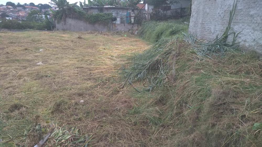 Foto 2 de Área Comercial em Vila Maria, São José dos Campos - imagem 2