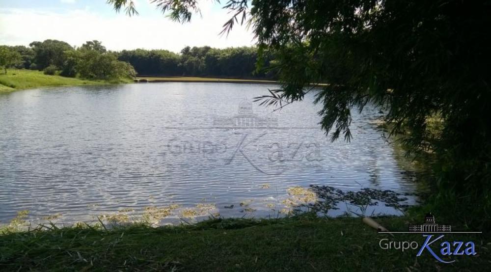lago