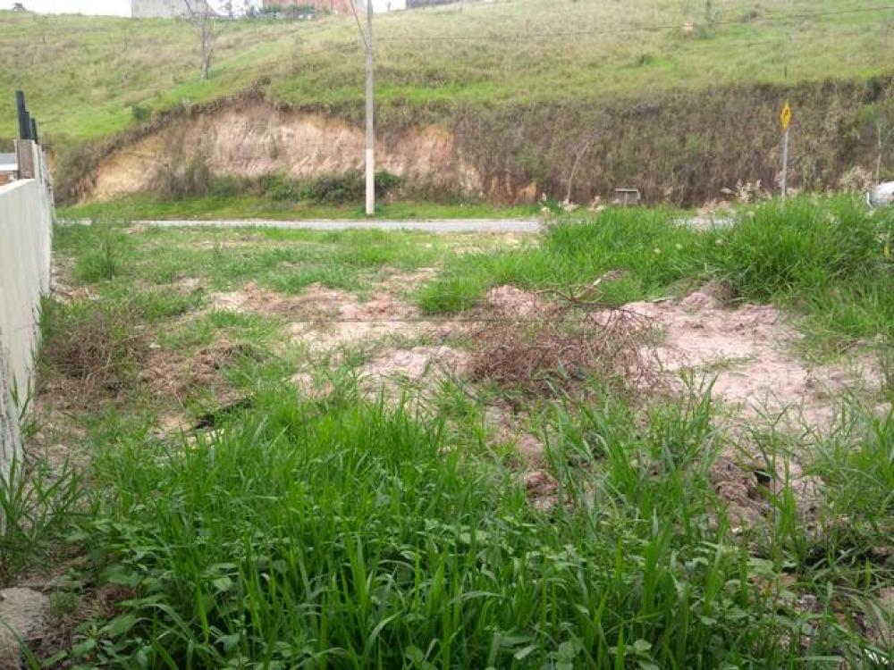 Foto 6 de Terreno Padrão em Loteamento Santa Edwiges, São José dos Campos - imagem 6