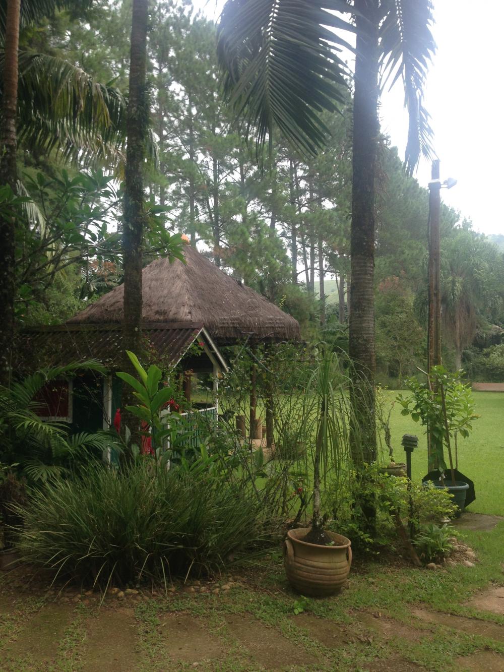 Foto 10 de Rural Sítio em Buquirinha, São José dos Campos - imagem 10