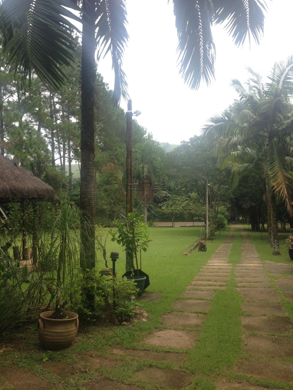 Foto 11 de Rural Sítio em Buquirinha, São José dos Campos - imagem 11