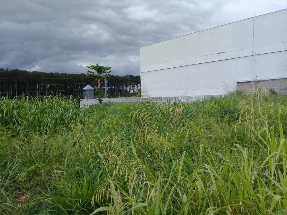 Foto 2 de Área Comercial em Chácaras Reunidas, São José dos Campos - imagem 2