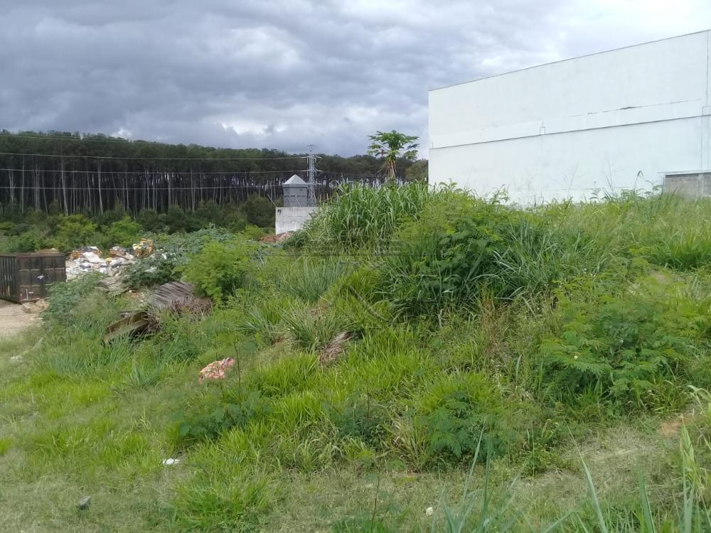 Foto 4 de Área Comercial em Chácaras Reunidas, São José dos Campos - imagem 4