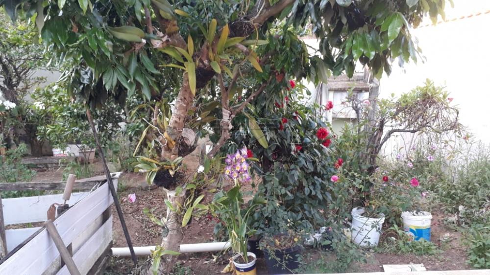 Foto 21 de Casa Sobrado em Jardim Portugal, São José dos Campos - imagem 21