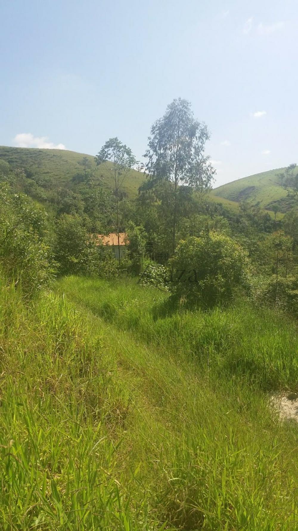Foto 3 de Terreno Padrão em Jardim Colonia, Jacareí - imagem 3